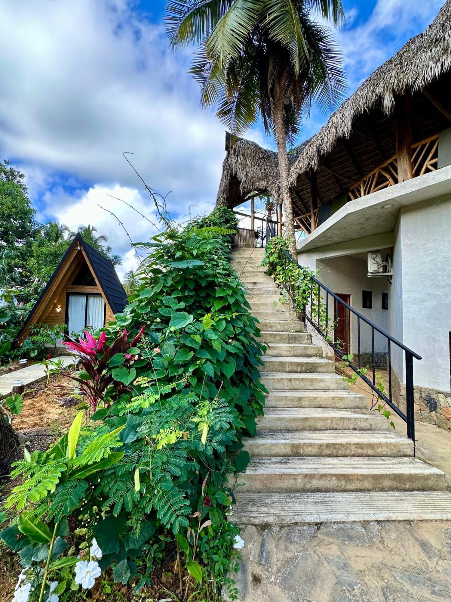 Leisy'S Garden Hostel & Rooms Samana Экстерьер фото